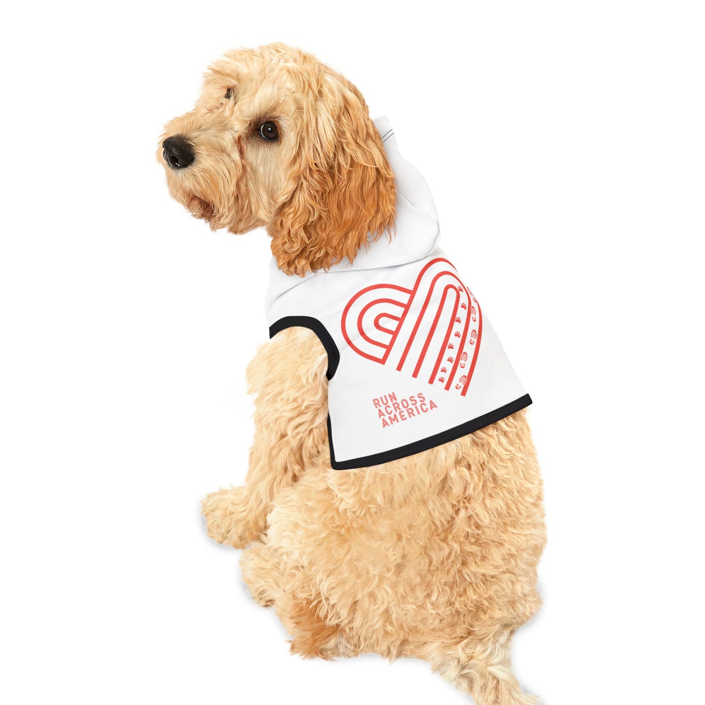 Pet Hoodie