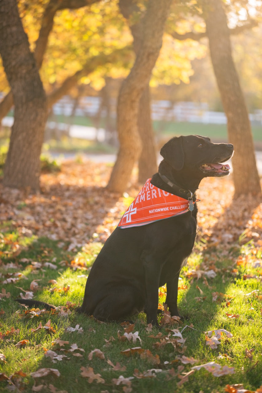 Limited-edition Cantonment X Run Across America kerchief