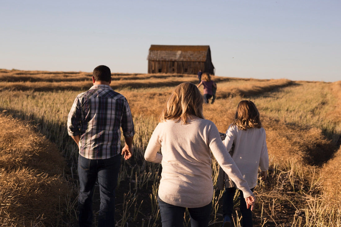 Family walking together through a golden harvest field toward a barn at sunset